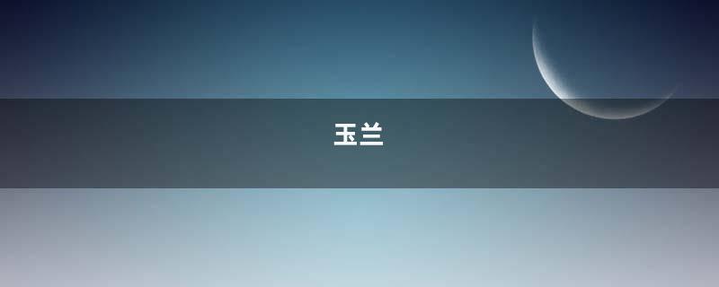 玉兰