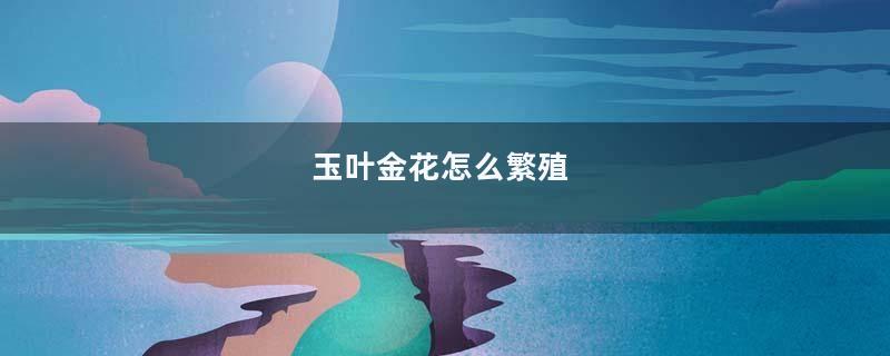 玉叶金花怎么繁殖