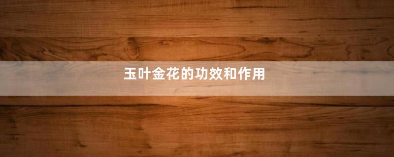 玉叶金花的功效和作用