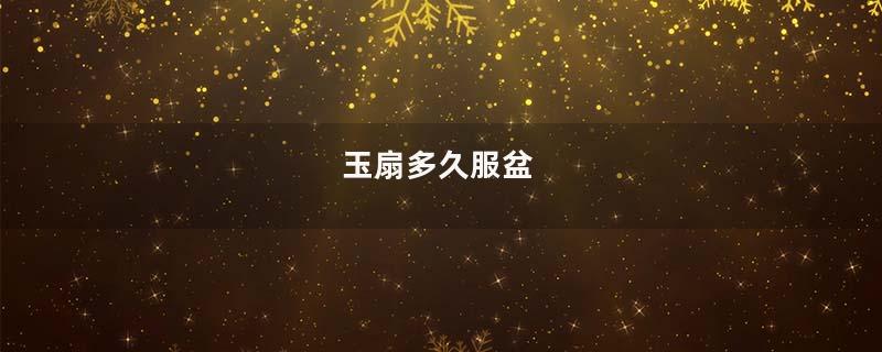 玉扇多久服盆