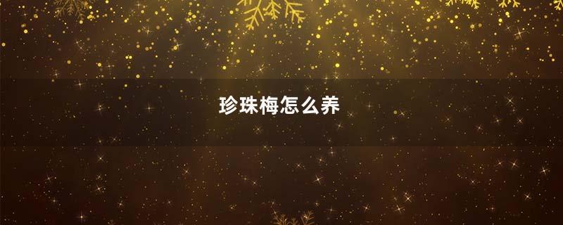 珍珠梅怎么养
