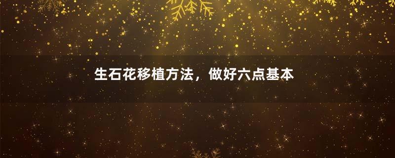 生石花移植方法，做好六点基本步骤成功率百分百