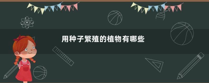 用种子繁殖的植物有哪些