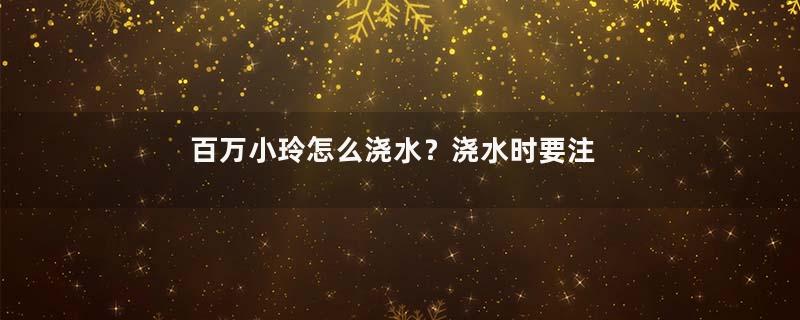 百万小玲怎么浇水？浇水时要注意什么？
