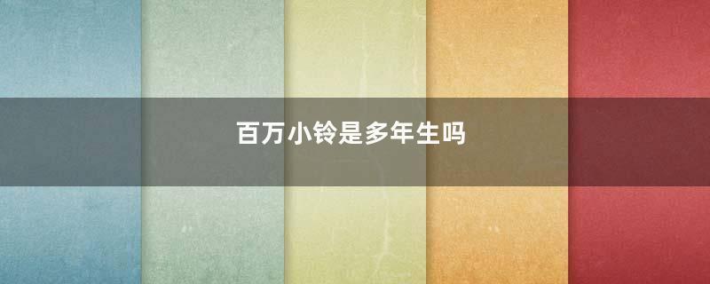百万小铃是多年生吗