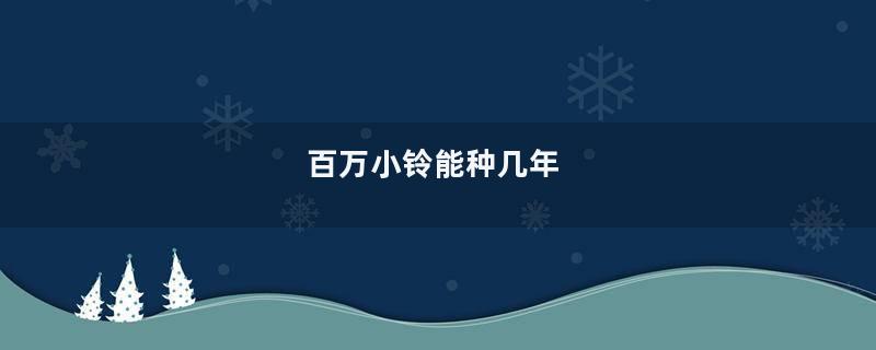 百万小铃能种几年
