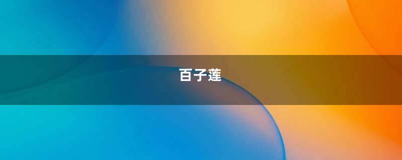 百子莲