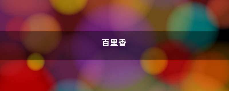 百里香