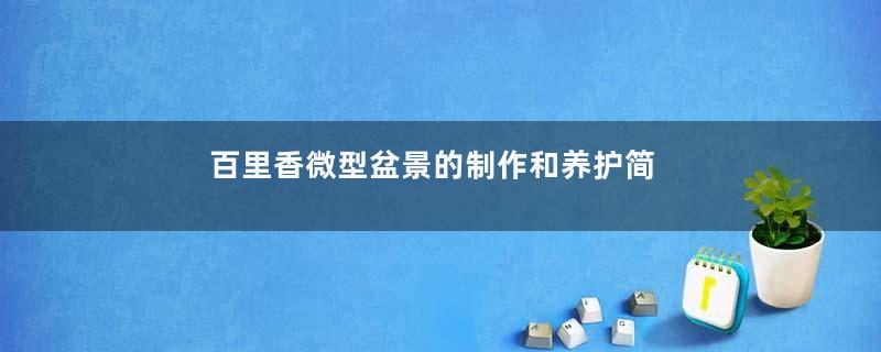 百里香微型盆景的制作和养护简述