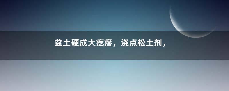 盆土硬成大疙瘩，浇点松土剂，立马软得像发糕！