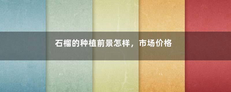 石榴的种植前景怎样，市场价格及种植效益如何