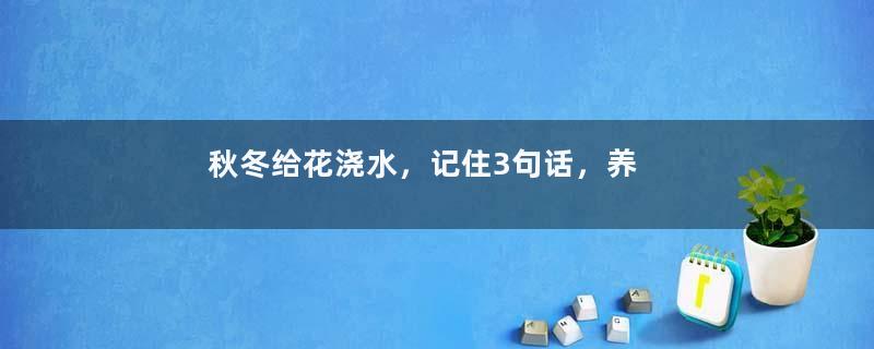 秋冬给花浇水，记住3句话，养活1000盆花！