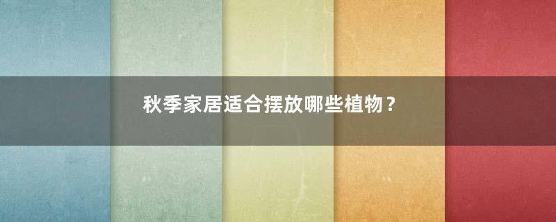 秋季家居适合摆放哪些植物？
