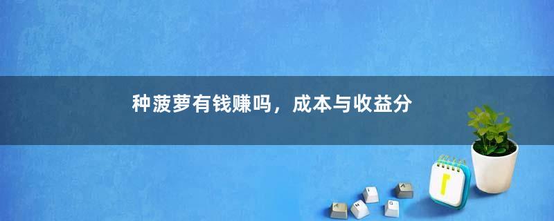 种菠萝有钱赚吗，成本与收益分析