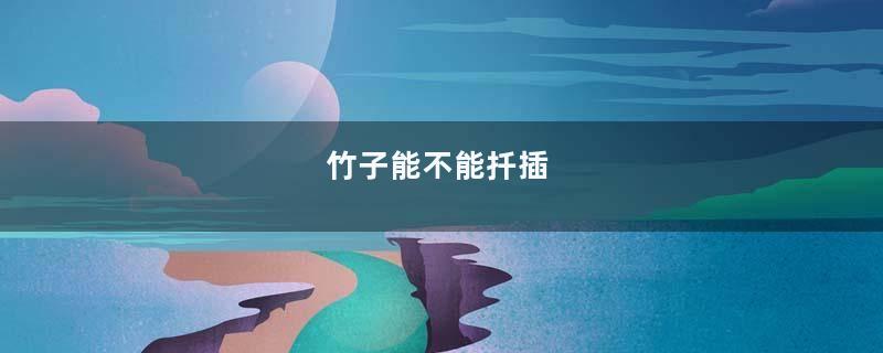 竹子能不能扦插