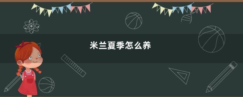 米兰夏季怎么养
