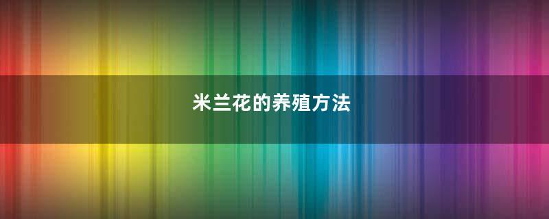 米兰花的养殖方法