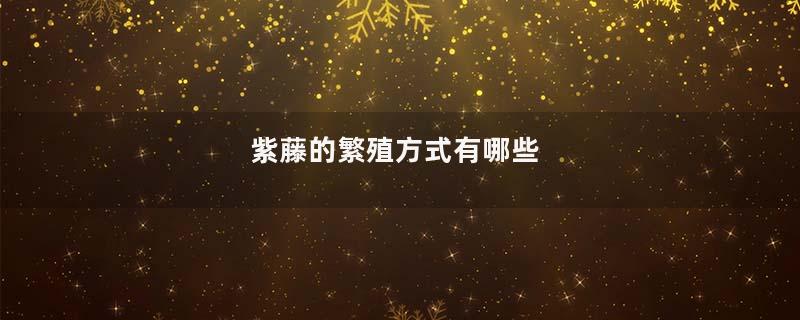 紫藤的繁殖方式有哪些