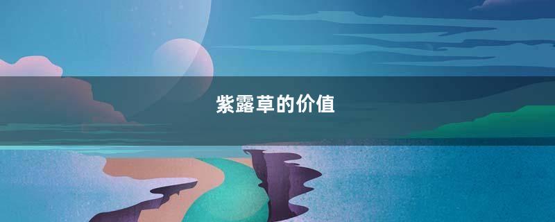紫露草的价值