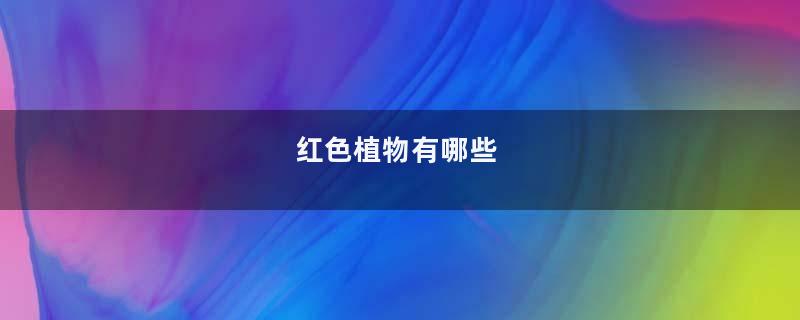红色植物有哪些