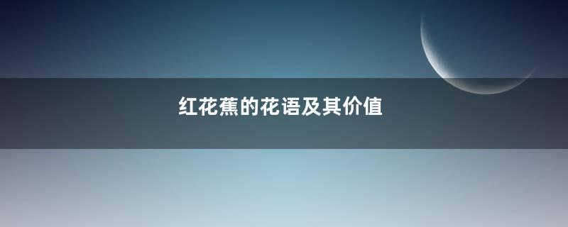 红花蕉的花语及其价值