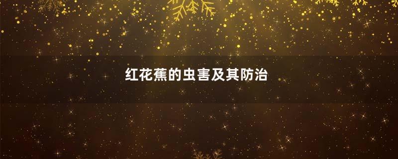 红花蕉的虫害及其防治
