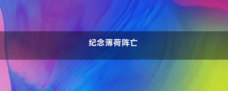 纪念薄荷阵亡