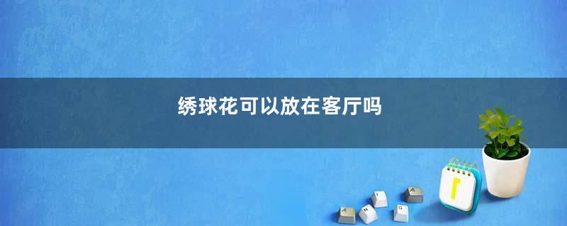 绣球花可以放在客厅吗
