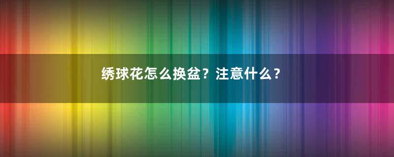 绣球花怎么换盆？注意什么？
