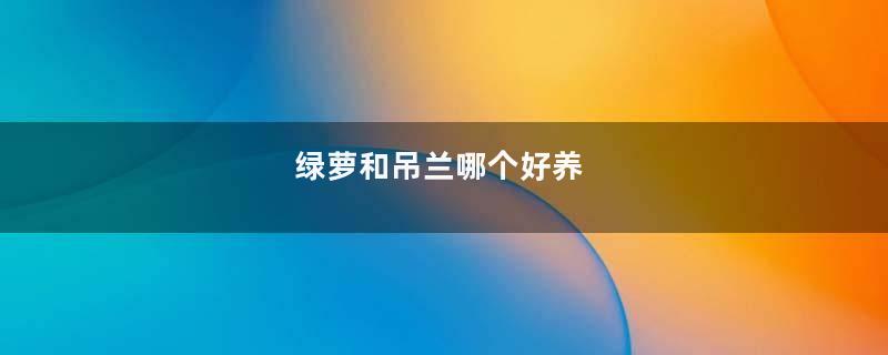 绿萝和吊兰哪个好养