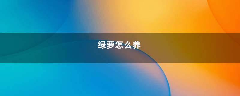 绿萝怎么养