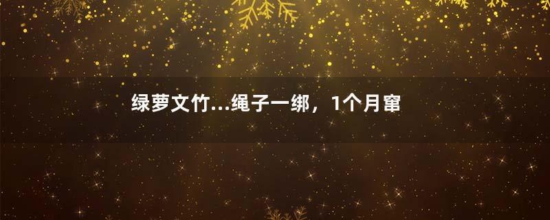 绿萝文竹…绳子一绑，1个月窜成电视墙，太好养！