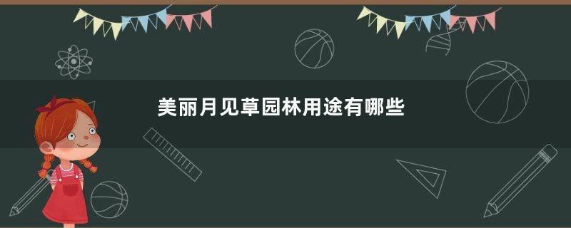 美丽月见草园林用途有哪些