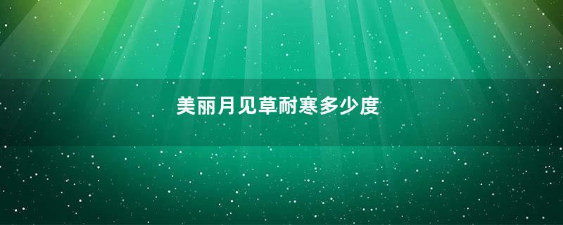 美丽月见草耐寒多少度