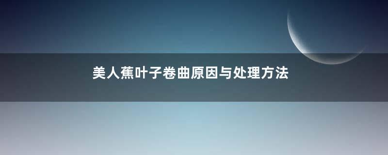 美人蕉叶子卷曲原因与处理方法