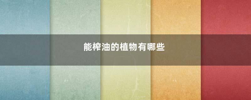 能榨油的植物有哪些
