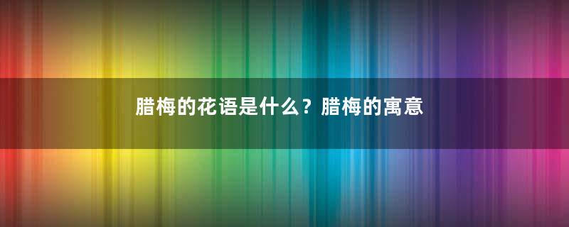 腊梅的花语是什么？腊梅的寓意和象征