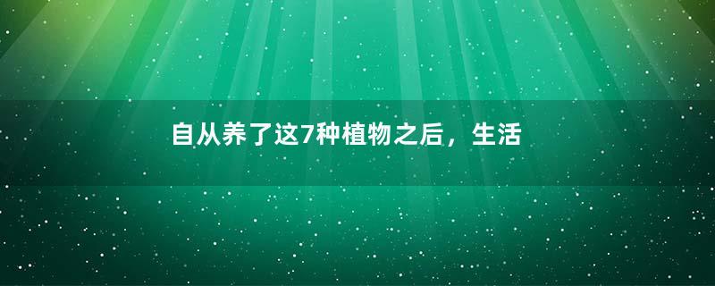 自从养了这7种植物之后，生活更美好了