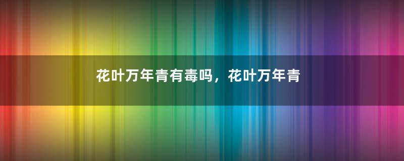 花叶万年青有毒吗，花叶万年青能放室内吗