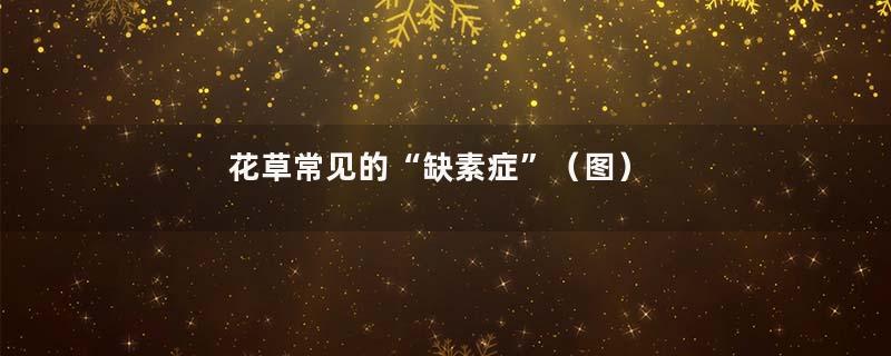 花草常见的“缺素症”（图）
