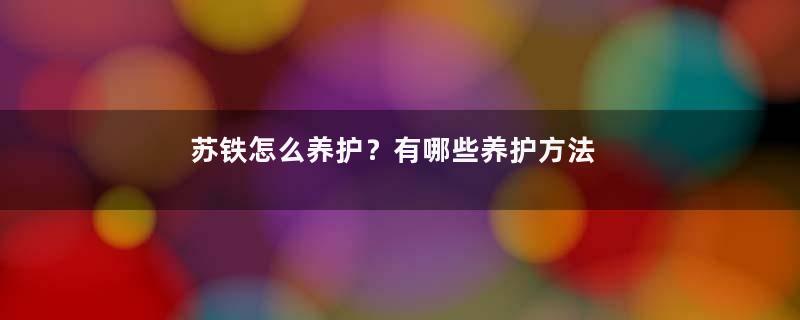 苏铁怎么养护？有哪些养护方法？