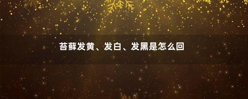 苔藓发黄、发白、发黑是怎么回事