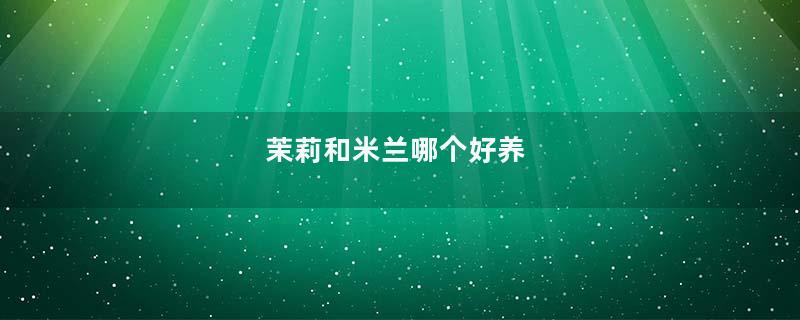 茉莉和米兰哪个好养