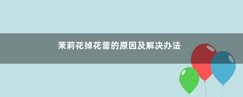 茉莉花掉花蕾的原因及解决办法