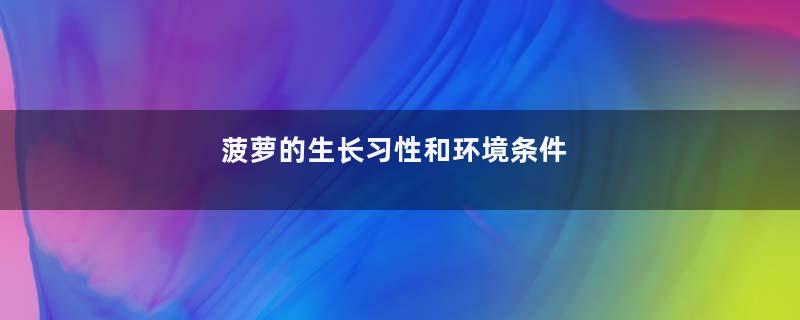菠萝的生长习性和环境条件
