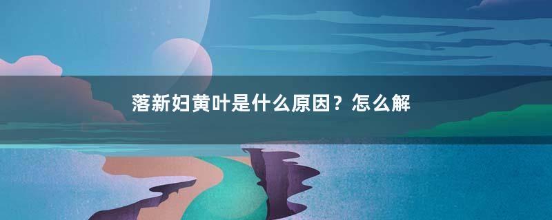 落新妇黄叶是什么原因？怎么解决？