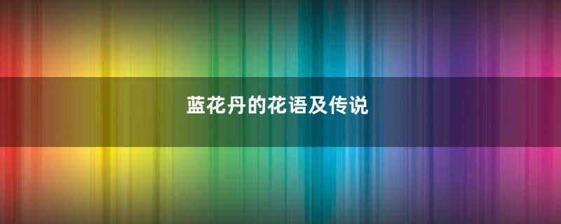 蓝花丹的花语及传说