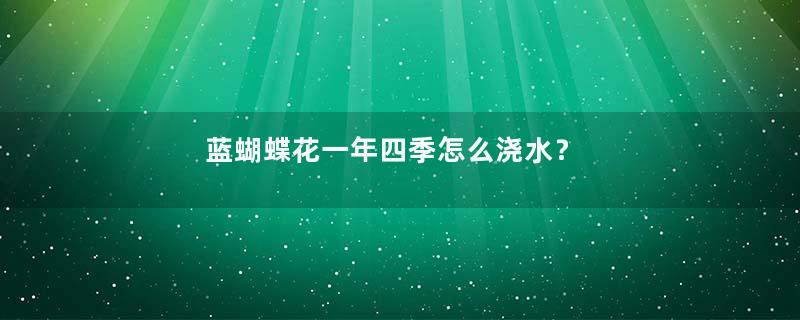 蓝蝴蝶花一年四季怎么浇水？