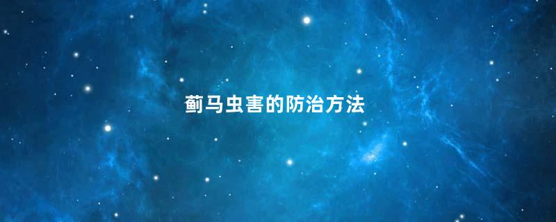 蓟马虫害的防治方法