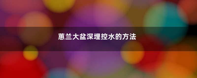 蕙兰大盆深埋控水的方法